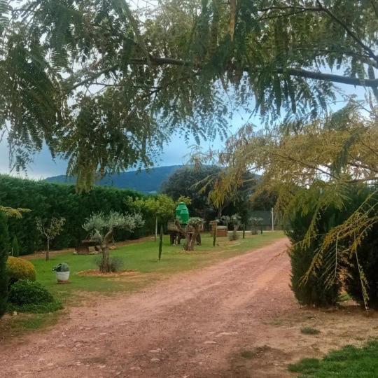 Finca Los Pajaros Cerca De Puy Du Fou Toledo Наваэрмоса Экстерьер фото
